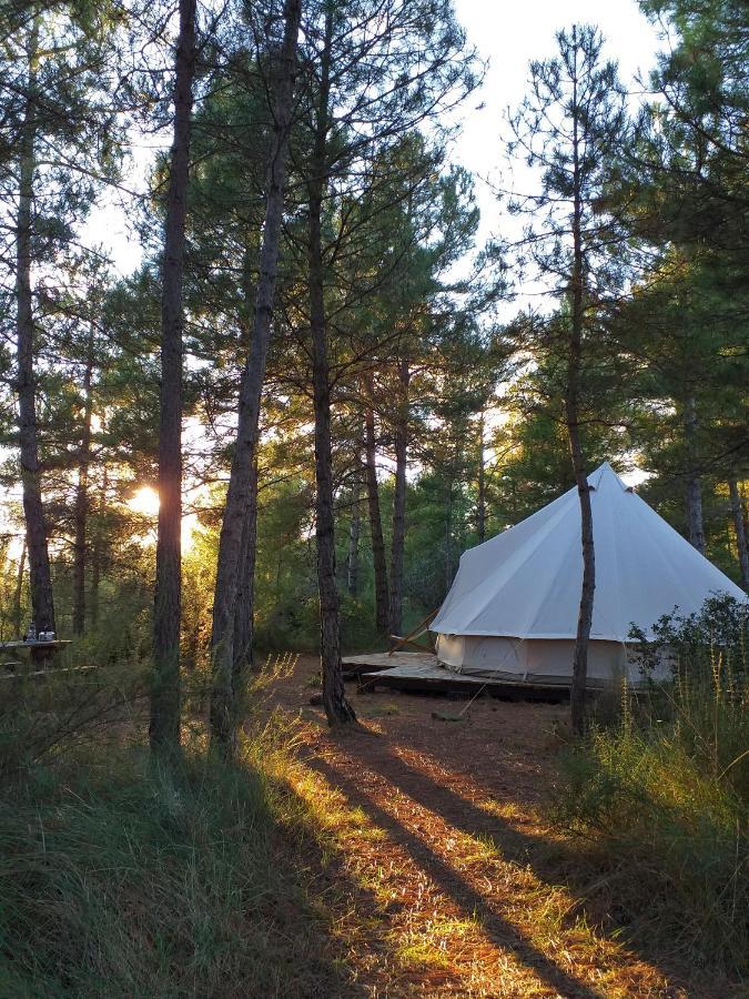 Forest Days Naves  ภายนอก รูปภาพ