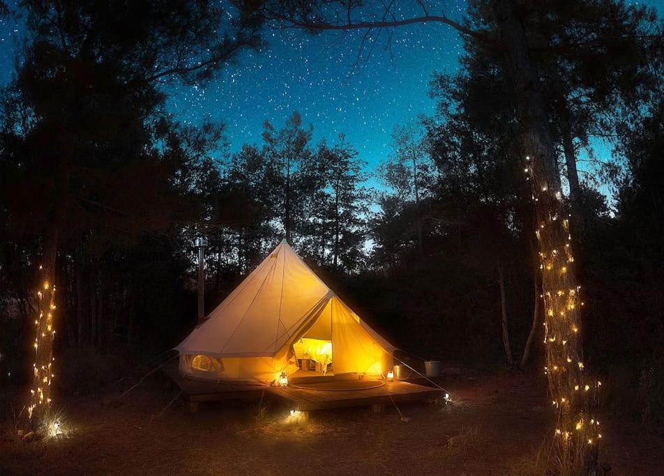 Forest Days Naves  ภายนอก รูปภาพ