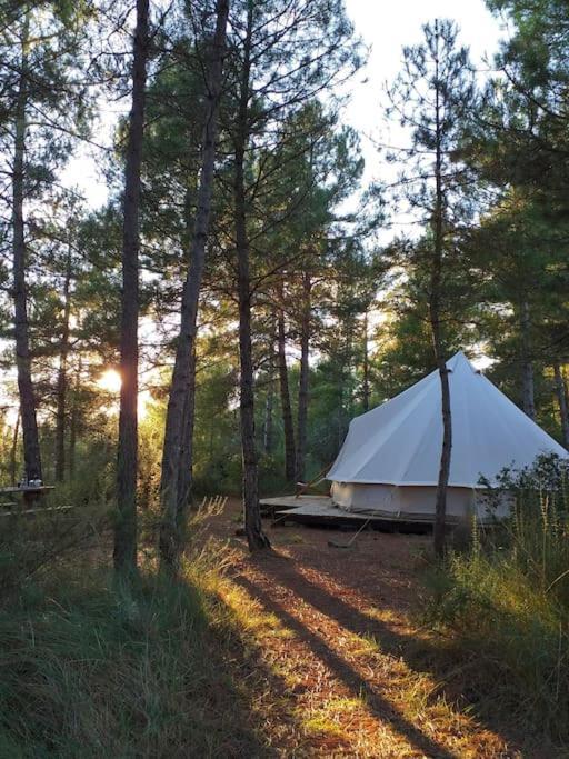 Forest Days Naves  ภายนอก รูปภาพ