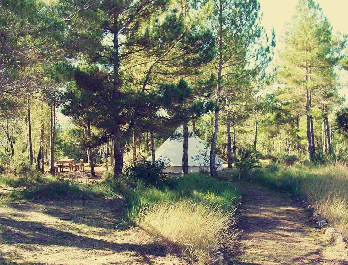 Forest Days Naves  ภายนอก รูปภาพ