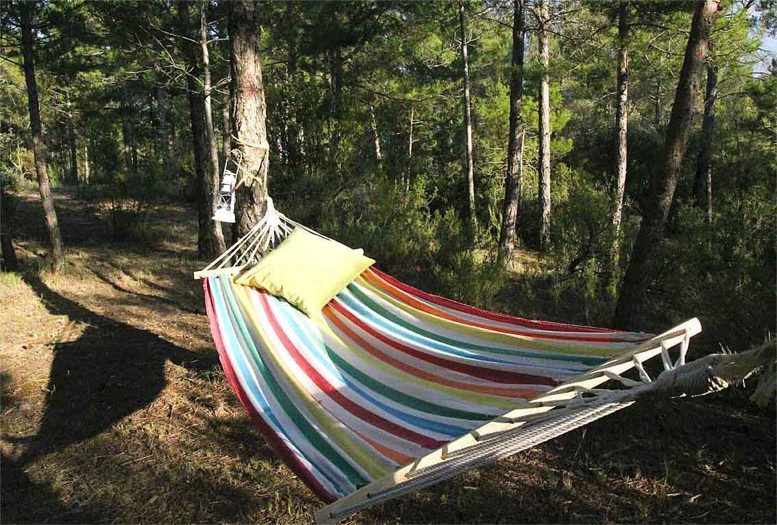 Forest Days Naves  ภายนอก รูปภาพ